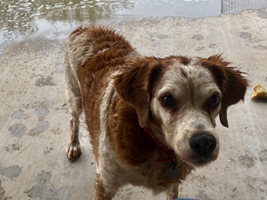 Ellie - Age 12 
Enjoying the rain