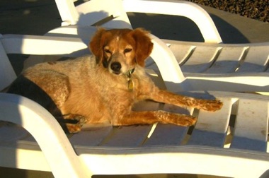 Tess enjoying sunset - Age 7